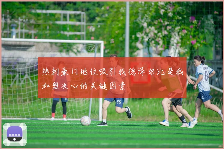 热刺豪门地位吸引我德泽尔比是我加盟决心的关键因素