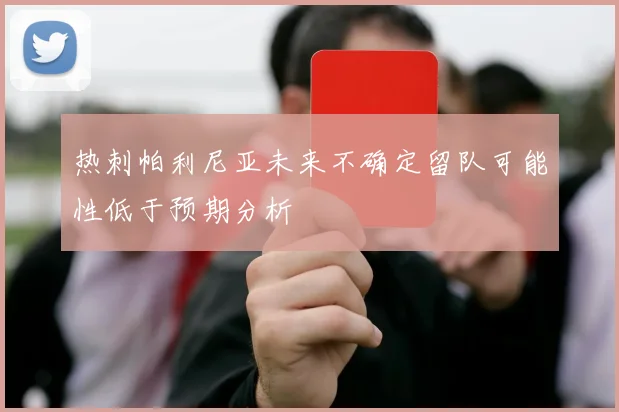 热刺帕利尼亚未来不确定留队可能性低于预期分析